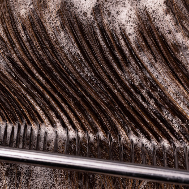 THE WINTER HAIR SURVIVAL GUIDE