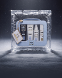 THE ULTIMATE SHINE DISCOVERY SET